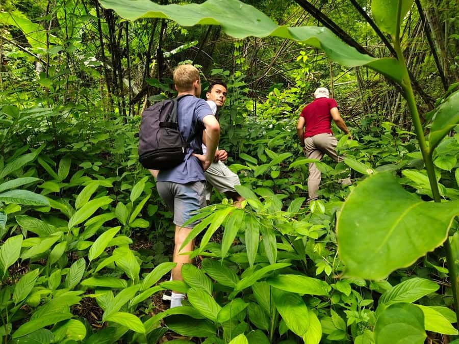 Chiang Rai: Jungle Adventure-Group Trekking & Bamboo Cooking - Hill-Tribe Villages on the Route: What You’ll Actually See