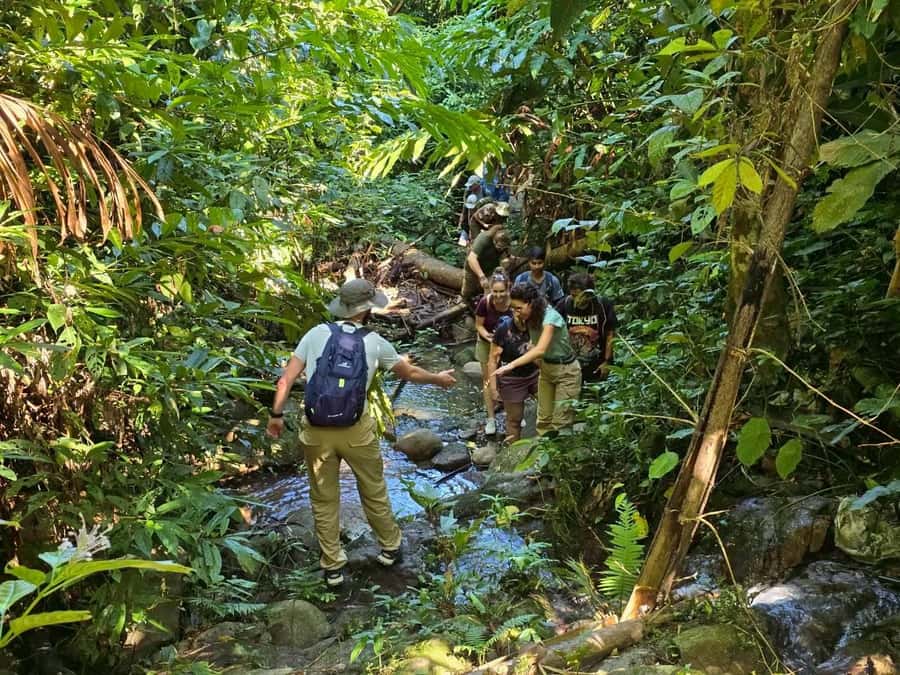 Chiang Rai: Jungle Adventure-Group Trekking & Bamboo Cooking - The Hike Itself: 10–12 Km, Real Terrain, Smart Breaks