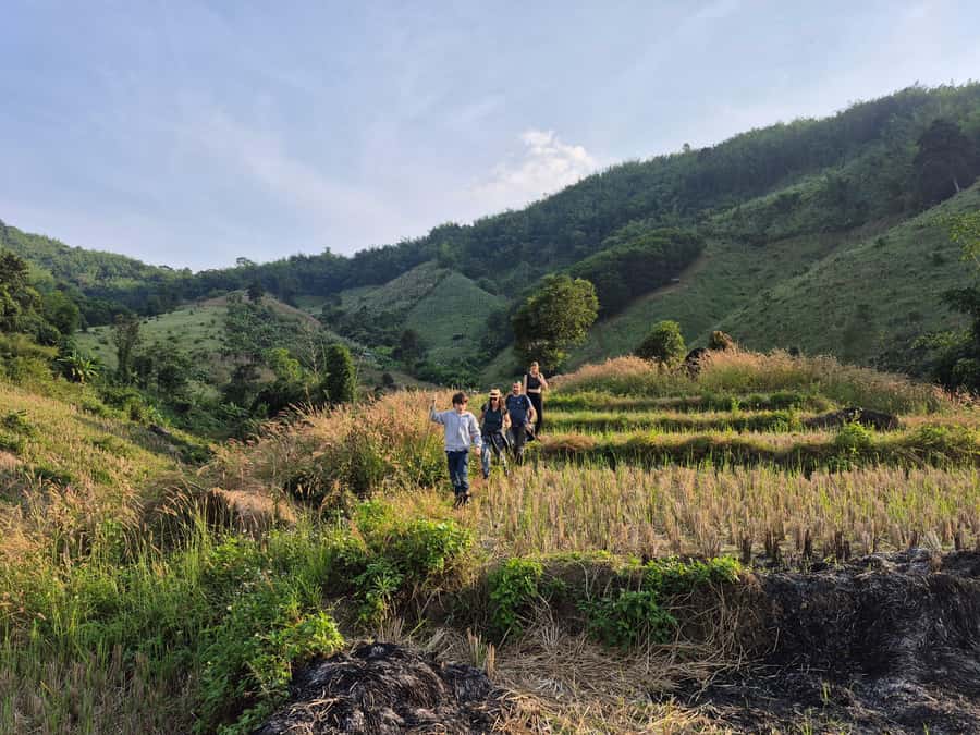 Chiang Rai Jungle Trek & Bamboo Tube Cooking Adventure - Price and Value: What $58 Covers (and Where You Might Spend Extra)
