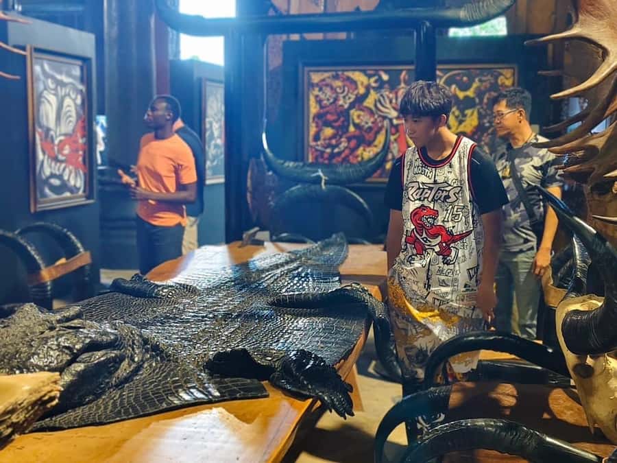 Chiang Rai Must-See Tour – 7 Icons, Lunch & Small Group(9pp) - Who this Chiang Rai day tour fits best