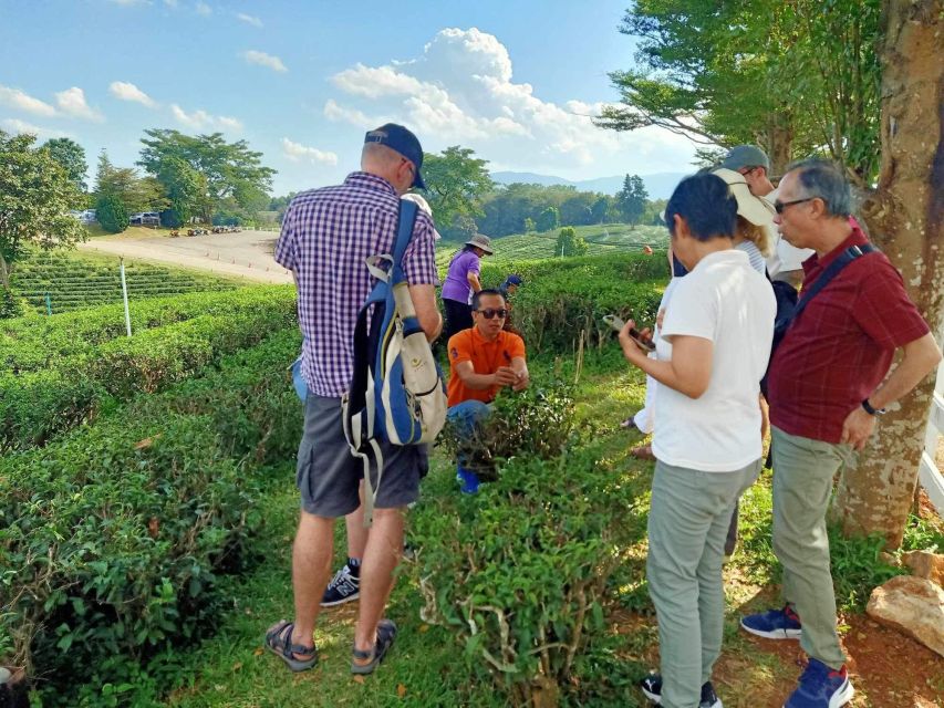 Chiang Rai: Popular Sightseeing Tour 7 places , Buffet Lunch - Small add-ons: a possible Laos boat moment