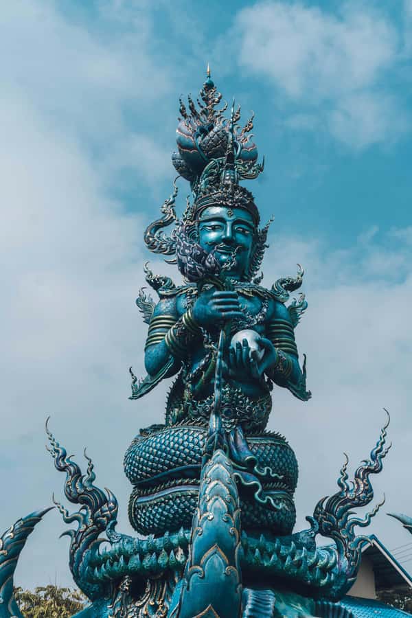 Chiang Rai: Private 1 Day Temple Tour - Wat Rong Khun: the White Temple with real time to look