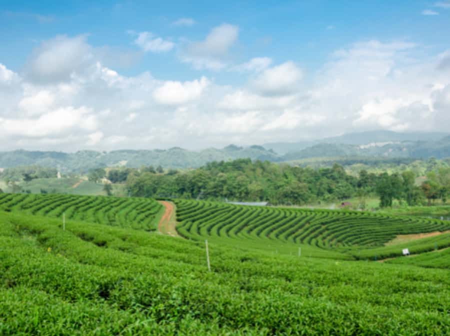 Chiang Rai: Private Customized Tour–5 Places of Your Choice - Temple and museum stops: what each choice delivers