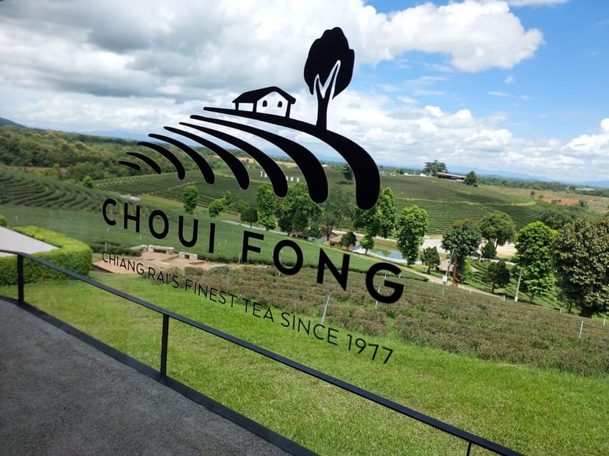 Chiang Rai: Temple Treasures & Popular Sightseeings (Buffet) - Choui Fong Tea Farm: A Short Stop That Still Adds Context