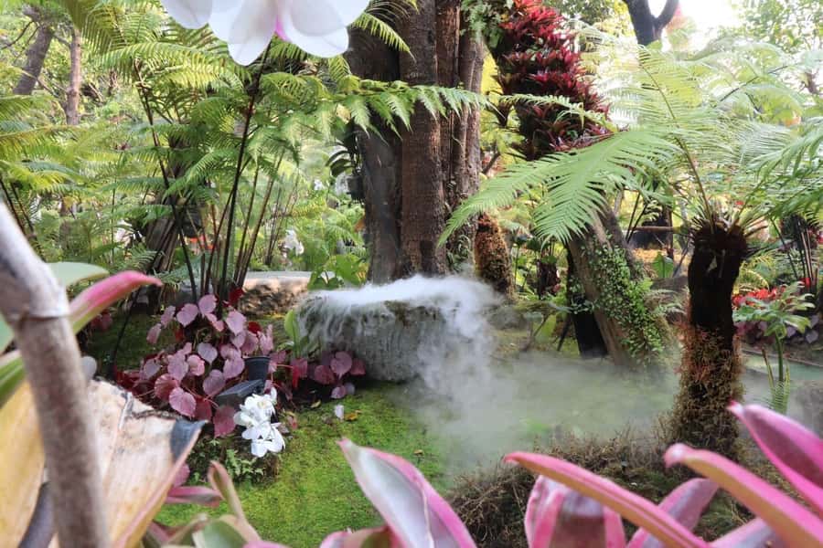 Chiang Rai: Temples Trip with Sang Kaew and Lalitta Cafe - Lalitta Café: A Temple-Adjacent Stop That’s Worth Its Time
