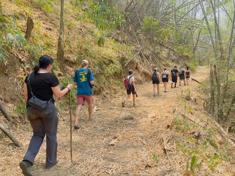 Chiang Rai: The Adventure of Trekking & Bamboo Cooking - Who Should Do This Trek (and Who Should Skip It)