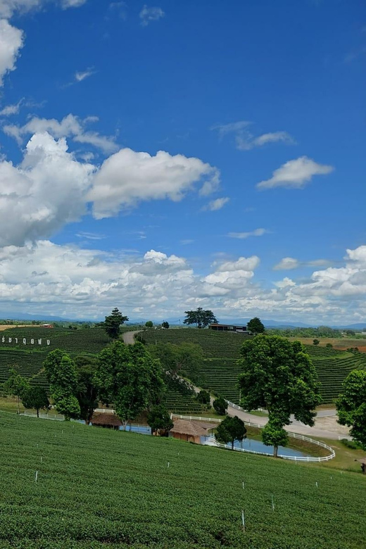 Chiang Rai: Top Temples & Signature Attractions ~Free Buffet - Chiang Rai in One Long Day: How the Route Feels
