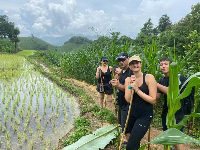 Chiang Rai Trek: 4 Hilltribes Villages & Waterfall Only Walk - Pickup, Transport, and the Timing Reality