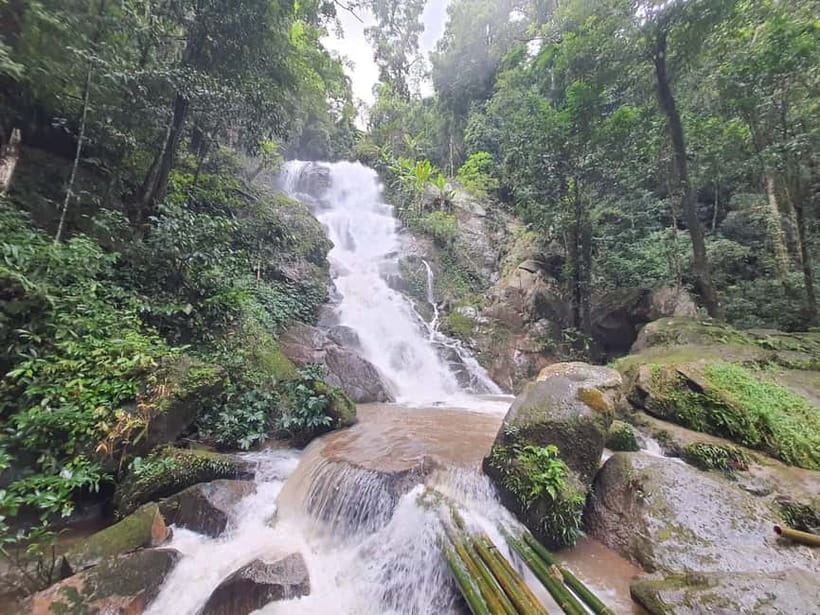 Chiang Rai Trek:Jungle Hike, Bamboo-Cooked Lunch & Boat Ride - Bamboo-cooked lunch: the meal you actually build