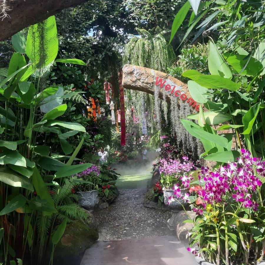 Chiang Rai White & Blue & Huay Pla Kang Temple& Lalitta Cafe - Mae Kachan Hot Spring: a short break that helps the whole day
