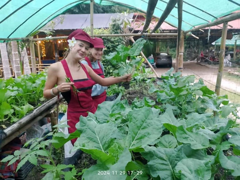 Chiang Rai:Lanna Home Cooking Class at Give Green Farm House - The Northern Thai angle: why Lanna home cooking feels different