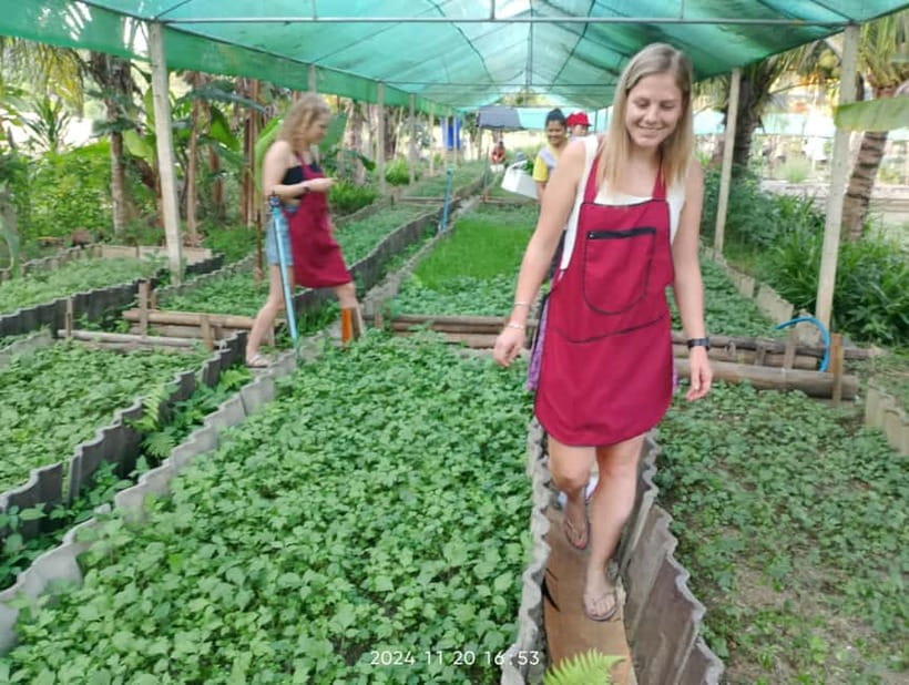 Chiang Rai:Lanna Home Cooking Class at Give Green Farm House - Vegetarian, allergies, and spice level: tell them early and you’ll be fine