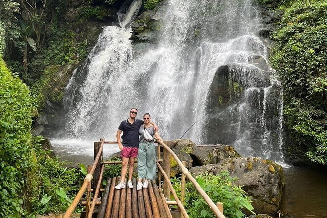ChiangMai 1DayTour:Elephant Sanctuary,king&queen pagoda,waterfall - Key highlights worth planning for