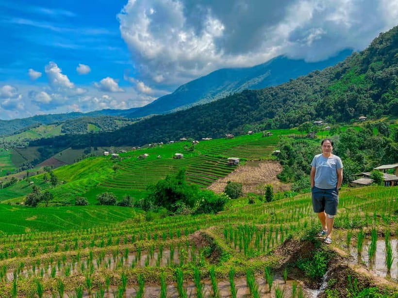 Chiangmai : Doi Inthanon unseen spot , Rice terrace & temple - Morning pickup and the “full-day rhythm” to Doi Inthanon