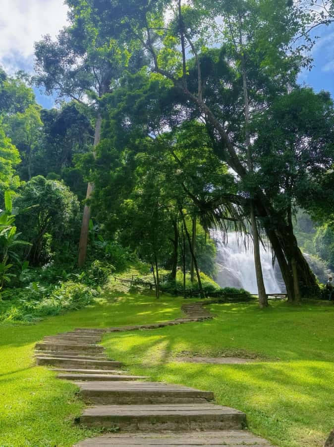 ChiangMai Doi Inthanon Waterfall Tour Free Lunch Free Ticket - From Chiang Mai to Doi Inthanon, start-time matters