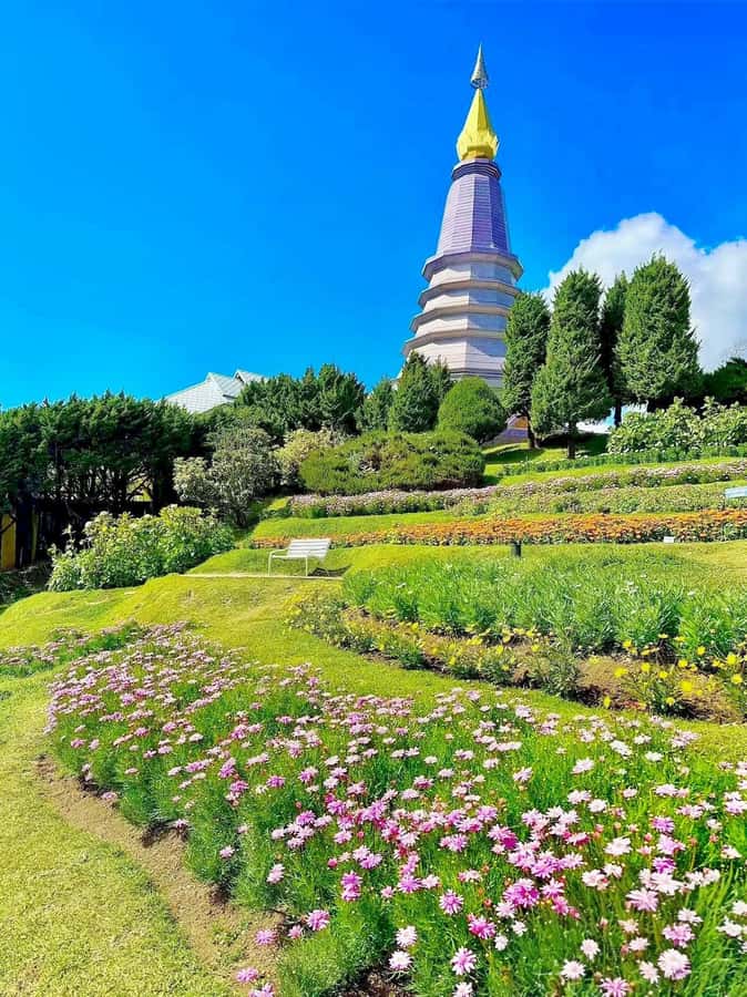 ChiangMai Doi Inthanon Waterfall Tour Free Lunch Free Ticket - Wachirathan Waterfall: the Rainbow Waterfall moment
