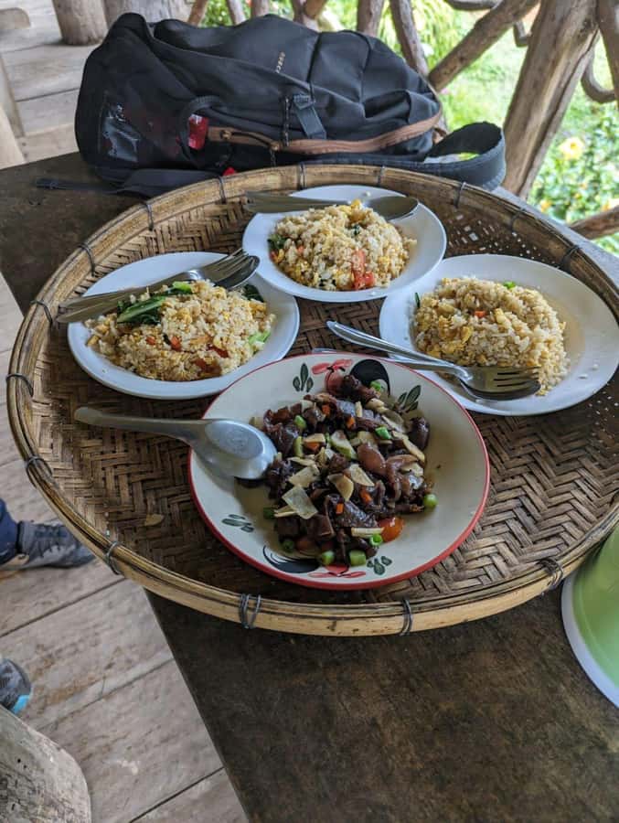 Chiangmai : Doi Pui Summit Hiking Experience - The route: what 7 hours feels like on the ground