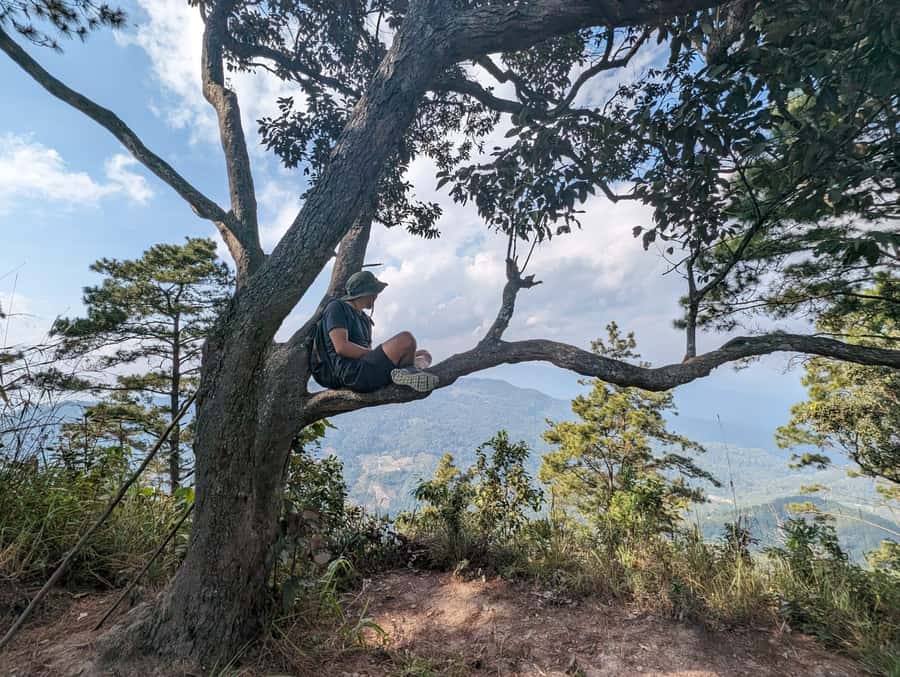 Chiangmai : Doi Pui Summit Hiking Experience - Wat Phra That Doi Suthep: your big viewpoint and sacred stop