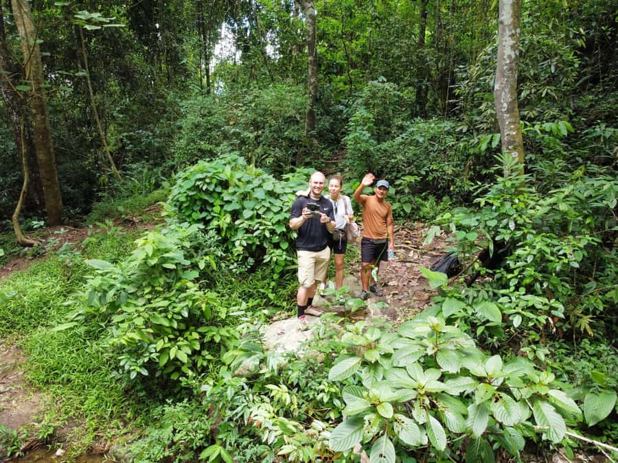 Chiangmai : Doi Pui Summit Hiking Experience - Doi Pui summit climb: where the effort really shows up
