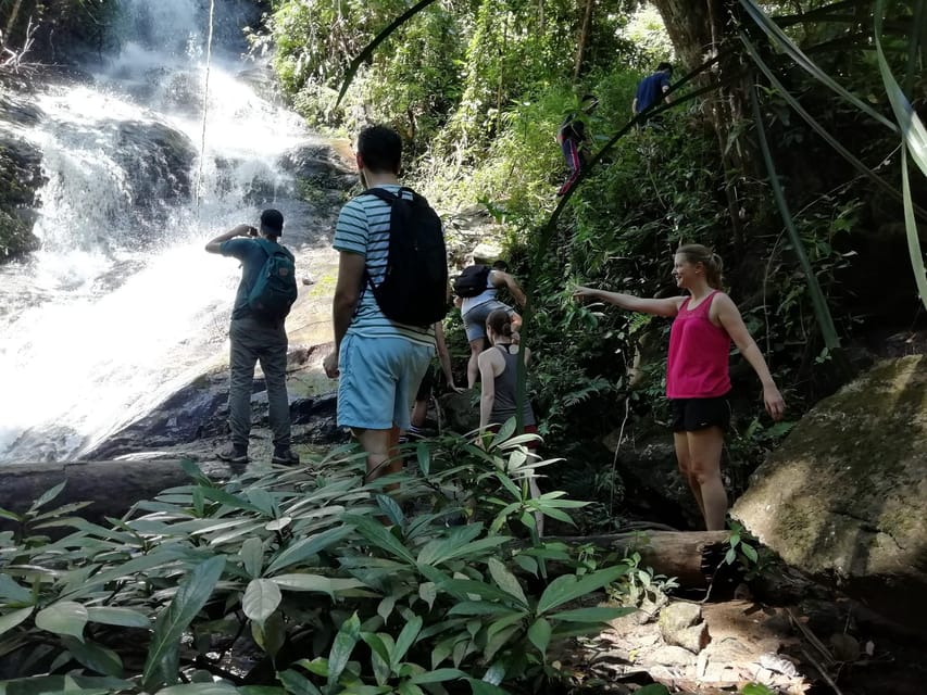 Chiangmai : Doi Pui Summit Hiking Experience - What you get for the price: $70 with real value baked in