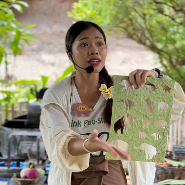 ChiangMai Elephant POOPOOPAPER Park Optional StickyWaterfall - Making your own souvenir paper: fun craft time plus the money question