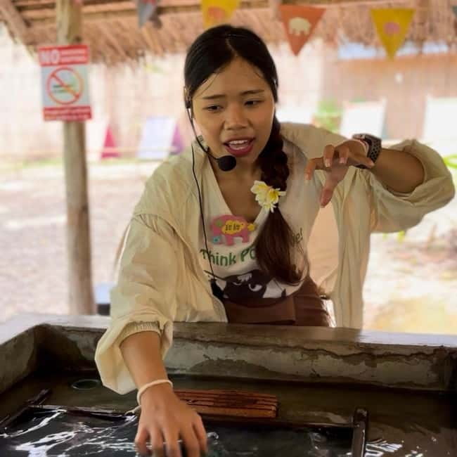 ChiangMai Elephant POOPOOPAPER Park Optional StickyWaterfall - Booking and what you should bring