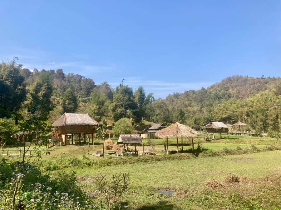 Chiangmai: Highlights Full-Day Tour with Private Driver - How the private car keeps your Chiang Mai day from getting messy