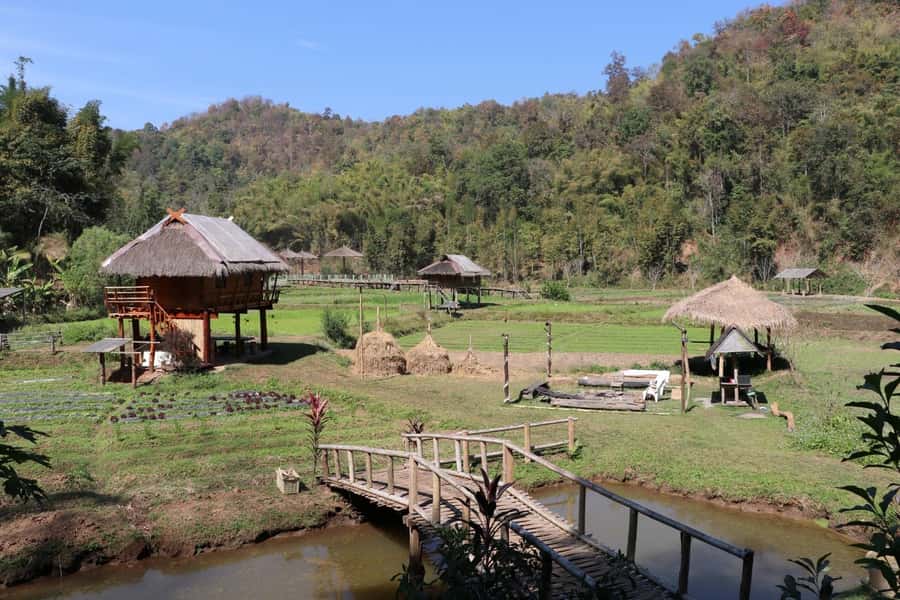 Chiangmai: Highlights Full-Day Tour with Private Driver - Wat Chiang Man: Chiang Mai’s oldest temple and King Mengrai’s connection