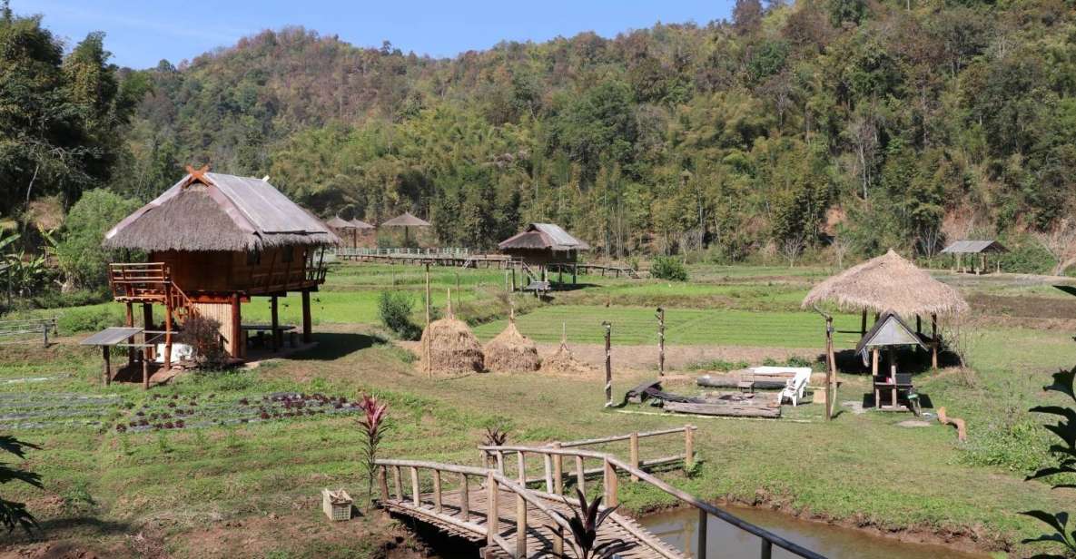 Chiangmai: Highlights Full-Day Tour with Private Driver - Who this private Chiang Mai temple-and-mountain day suits best