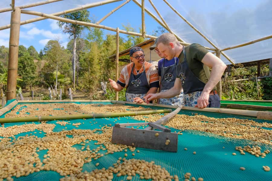 Chiangmai hilltribe Coffee Forest : Trek Plant Roast & Brew - Roast Your Own Beans: The Workshop That Smells Like Progress