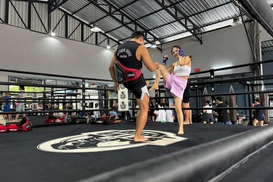 Chiangmai : Muay Thai Training academy - Basics → Pads → Precision: Where Your Technique Starts to Click