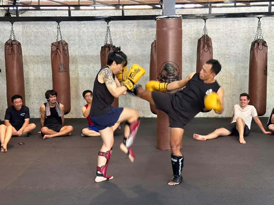 Chiangmai : Muay Thai Training academy - Partner Drills and Sparring: Learning Under Pressure (Safely)