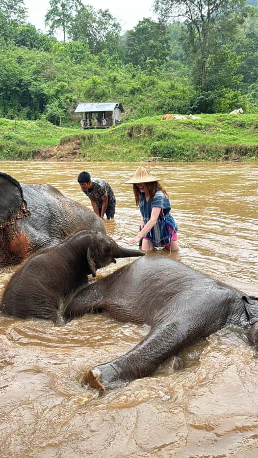 Chiangmai : Take care elephants+poopaper, sticky waterfalls - Сопหัว workshop time: a short warm-up before the big craft