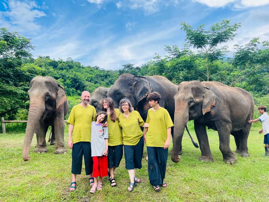 Chiangmai : Take care elephants+poopaper, sticky waterfalls - Lunch in the middle keeps the day from turning into a slog