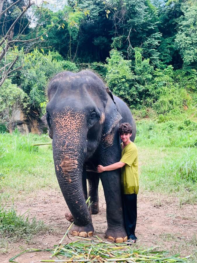 Chiangmai : Take care elephants+poopaper, sticky waterfalls - Price and logistics: $72 for access, not just transport
