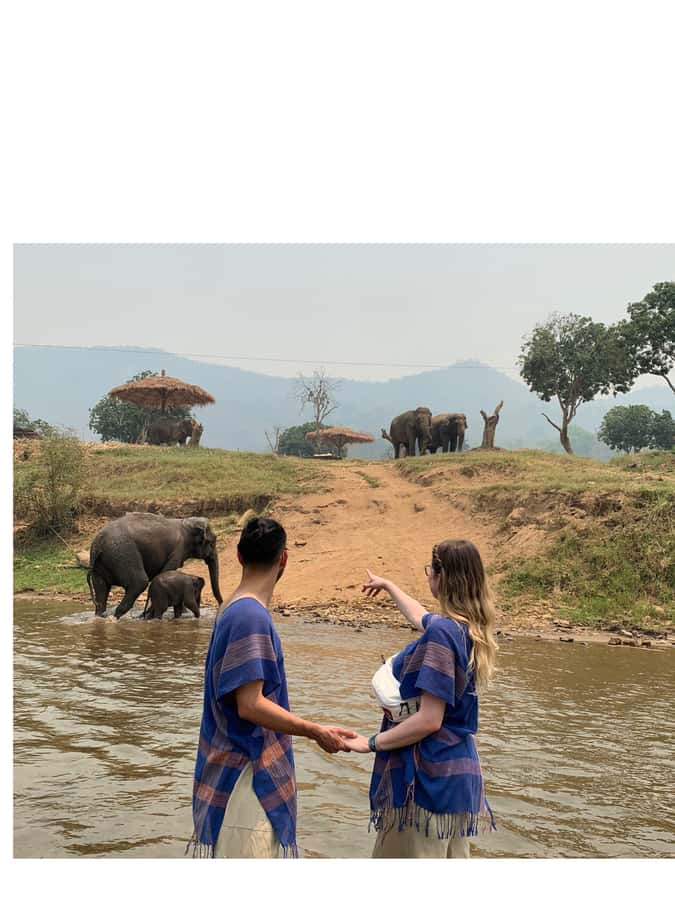 Chiangmai : Take care elephants+poopaper, sticky waterfalls - Morning start at Rich Coffee House (and why it matters)
