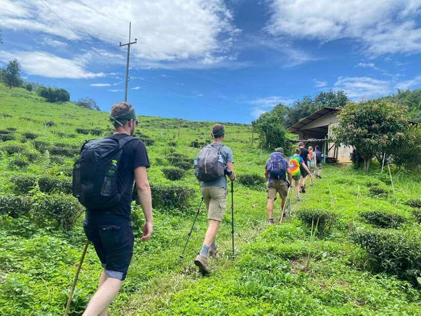 Chiangrai: Group Trekking with Bamboo Cooking - Key Things That Make This Tour Worth Your Time
