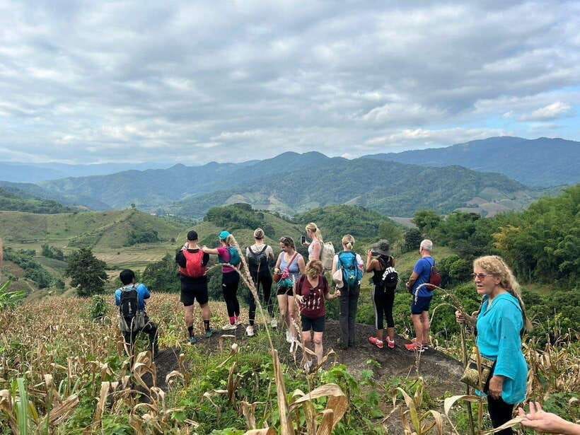 Chiangrai: Group Trekking with Bamboo Cooking - The Day’s Route: Villages, Tea, Waterfall, and a Jungle Hot Spring