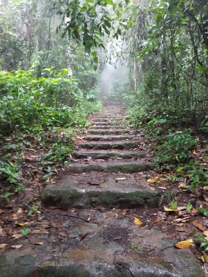 Chingmai Sunrise Hike & Cultural Traditions - Hmong village culture: coffee, markets, and crafts you can actually talk about