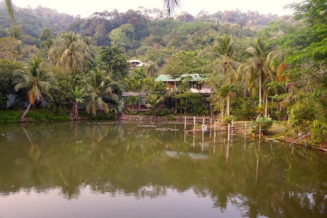 Choose Your Own Dishes: Half-Day Thai Cooking Class in Phuket - The Kathu Market Tour: Herbs, Spices, and Real Thai Ingredient Sense