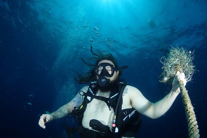 Chumphon Pinnacle-Koh Tao 2 dive trip for certified divers - Chumphon Archipelago: First Stop With Wildlife-Spotting Energy