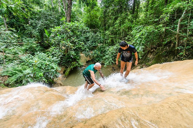 Climb Sticky Waterfall Like a Spiderman - Key Things You’ll Notice on This Sticky Waterfall Climb