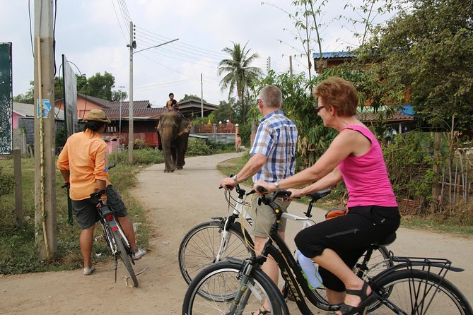 Colors of Ayutthaya Full-Day Bike Tour - Ayutthaya Historical Park: the island surrounded by three rivers