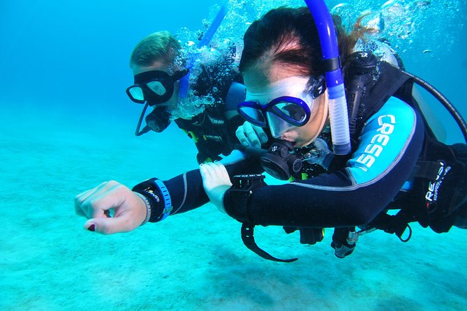 Continue your education with the Advanced Open Water Diver course - 2 days - Key highlights that make this course worth your time