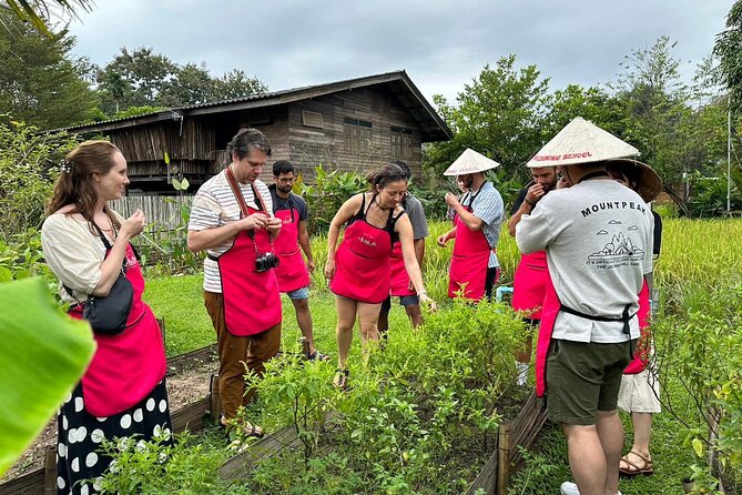 Cooking Class with Organic Farm in Chiang Mai - Quick hits before you go