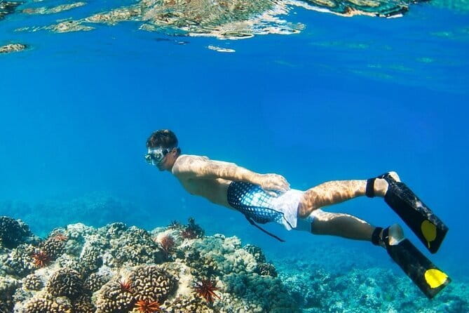 Coral Island Banana Beach Snorkeling and Clear Kayak Tour - Chalong Pier Speedboat Ride: Faster Than You Think