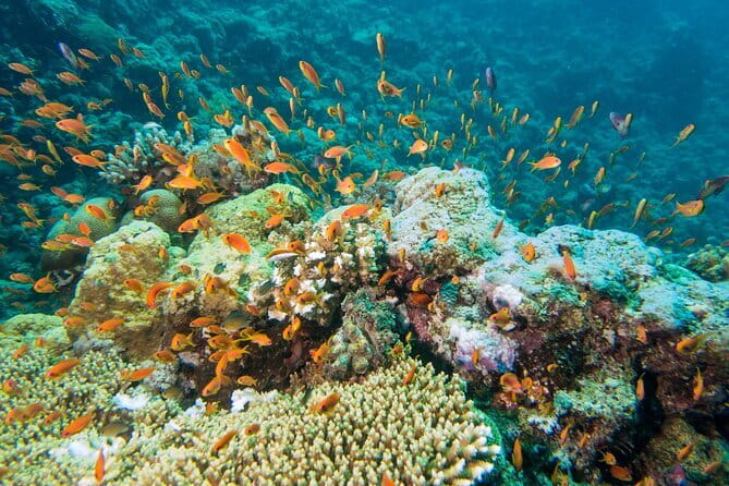 Coral Island Banana Beach Snorkeling and Clear Kayak Tour - Banana Beach Relaxation: Where the Day Actually Winds Down