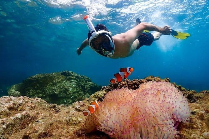Coral Island Tour and Water Activities with Meal in Pattaya - Coral Island arrival at 11:00 and that “1.5-hour island” reality