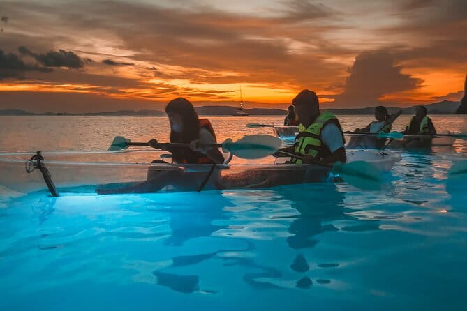 Crystal Clear Kayak Tour in Krabi - Sea Life From Above: What You May Spot Under the Clear Hull