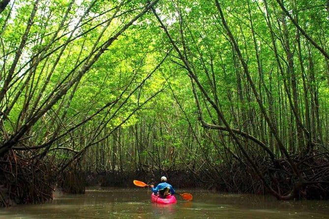 Crystal Clear Kayak Tour in Krabi - How Dry Will You Stay? Sun Strategy and Phone Safety